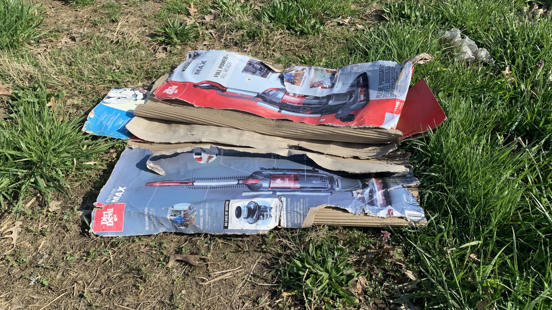 Cardboard Litter